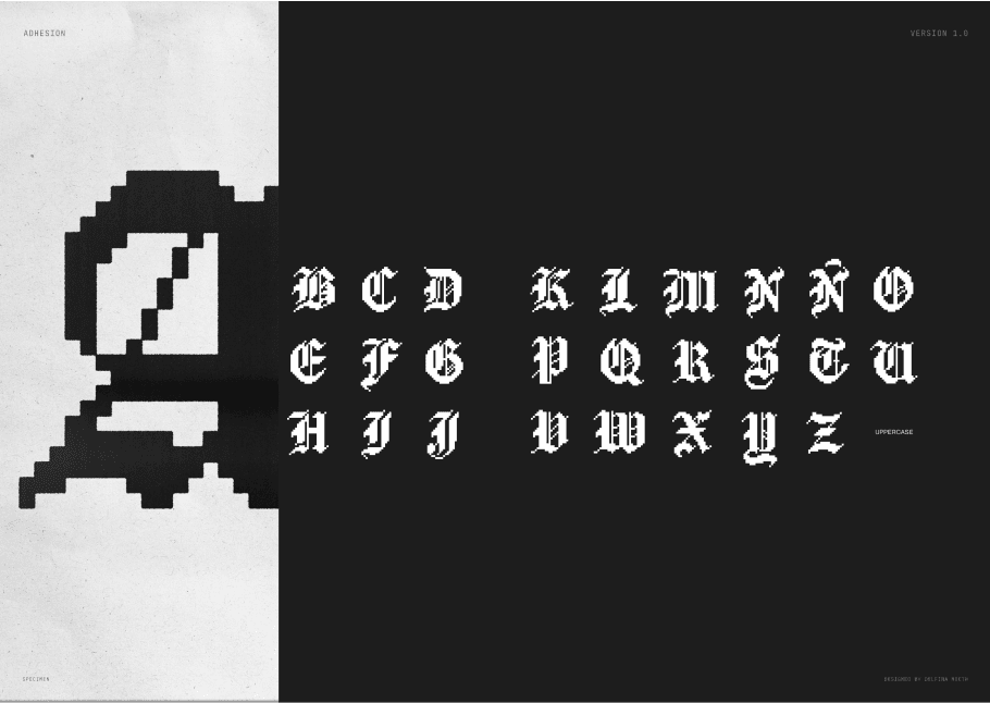 Adhesion capitals specimen